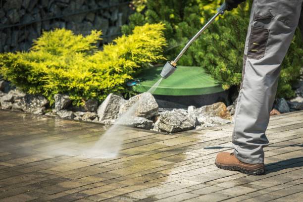 Best Roof Washing  in Little Falls, NY